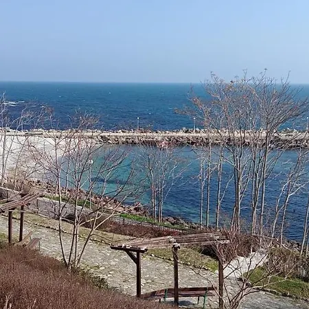 глобал вил Appartement